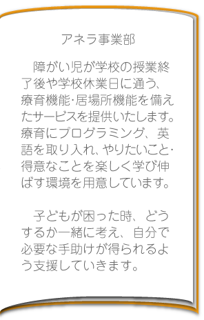 アネラ事業部紹介